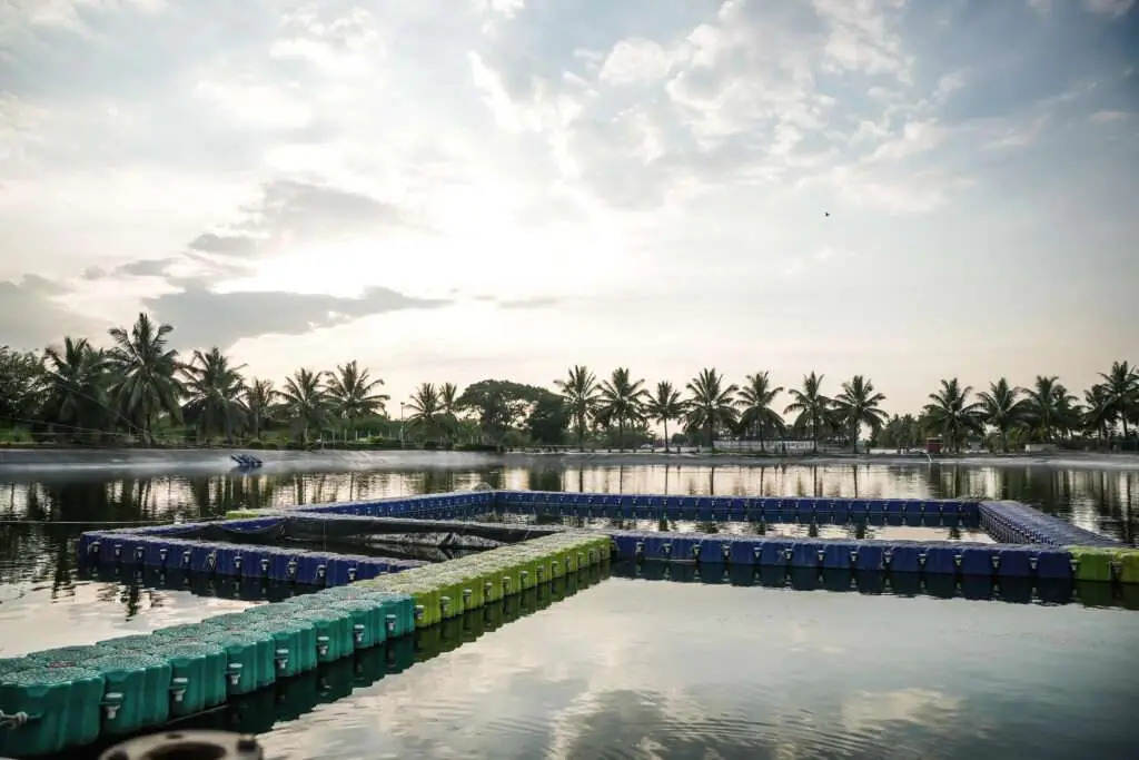 Recirculating Aquaculture System (RAS) - FAFPL