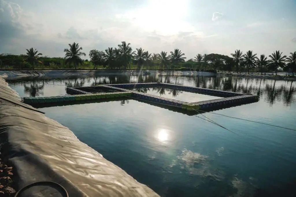 Recirculating Aquaculture System (RAS) - FAFPL