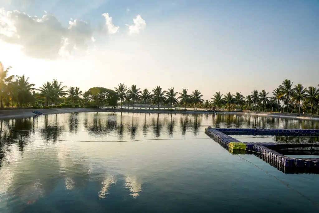 Recirculating Aquaculture System (RAS) - FAFPL