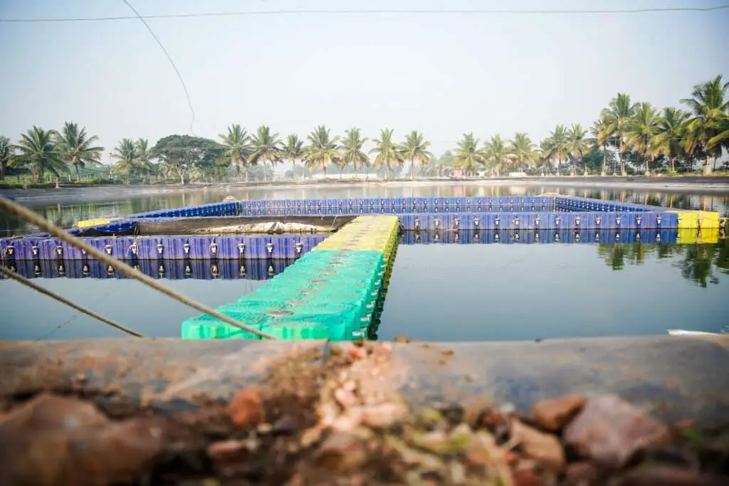 Recirculating Aquaculture System (RAS) - FAFPL