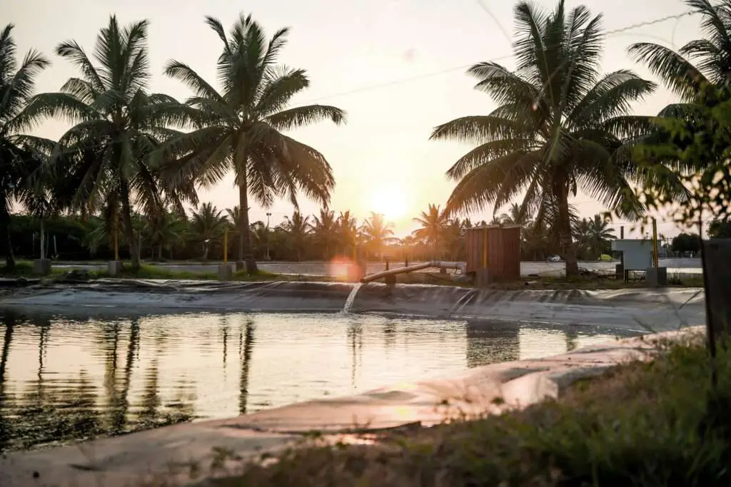 Recirculating Aquaculture System (RAS) - FAFPL