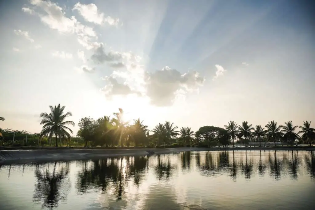 Recirculating Aquaculture System (RAS) - FAFPL